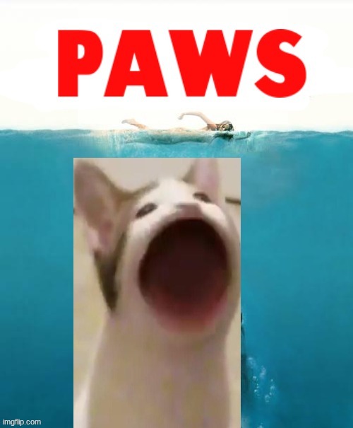 I just thought of this | image tagged in jaws,cat | made w/ Imgflip meme maker