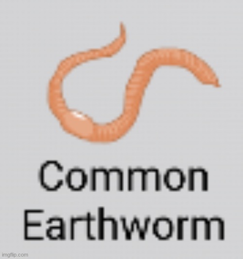 Common Earthworm | made w/ Imgflip meme maker