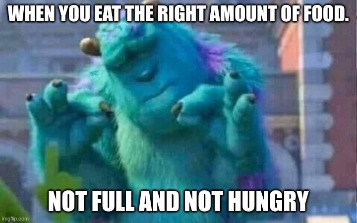 Sully shutdown | WHEN YOU EAT THE RIGHT AMOUNT OF FOOD. NOT FULL AND NOT HUNGRY | image tagged in sully shutdown | made w/ Imgflip meme maker