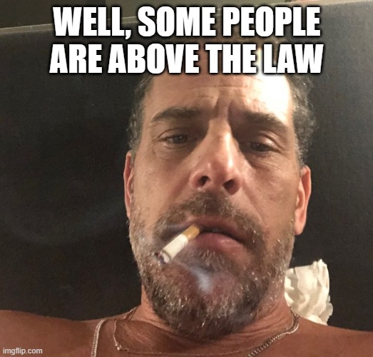 Hunter Biden | WELL, SOME PEOPLE ARE ABOVE THE LAW | image tagged in hunter biden | made w/ Imgflip meme maker
