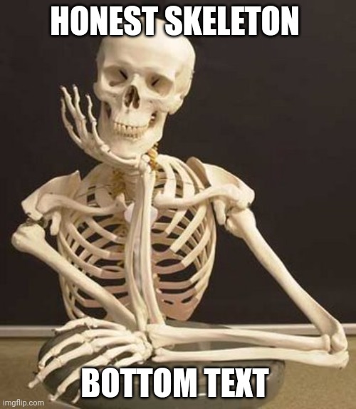 Skull | HONEST SKELETON BOTTOM TEXT | image tagged in skull | made w/ Imgflip meme maker