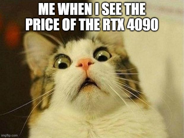 Scared Cat | ME WHEN I SEE THE PRICE OF THE RTX 4090 | image tagged in memes,scared cat | made w/ Imgflip meme maker
