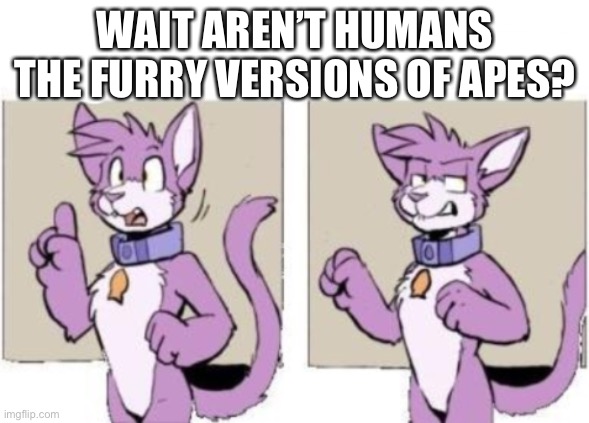 Furry hold on | WAIT AREN’T HUMANS THE FURRY VERSIONS OF APES? | image tagged in furry hold on | made w/ Imgflip meme maker