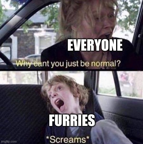 Why Can't You Just Be Normal | EVERYONE; FURRIES | image tagged in why can't you just be normal | made w/ Imgflip meme maker