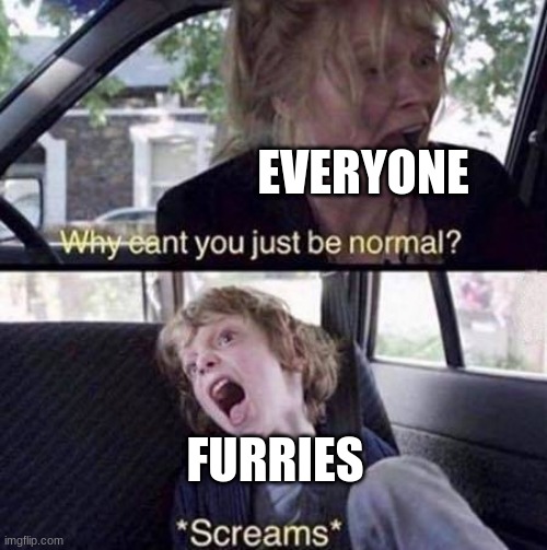 why | EVERYONE; FURRIES | image tagged in why can't you just be normal | made w/ Imgflip meme maker