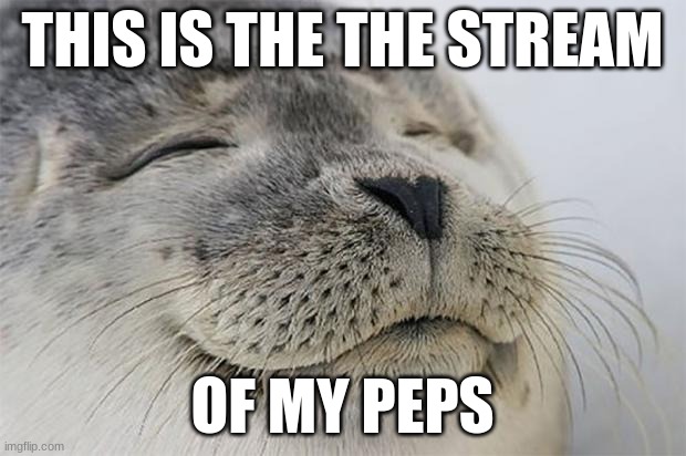 ahhhh | THIS IS THE THE STREAM; OF MY PEPS | image tagged in memes,satisfied seal | made w/ Imgflip meme maker