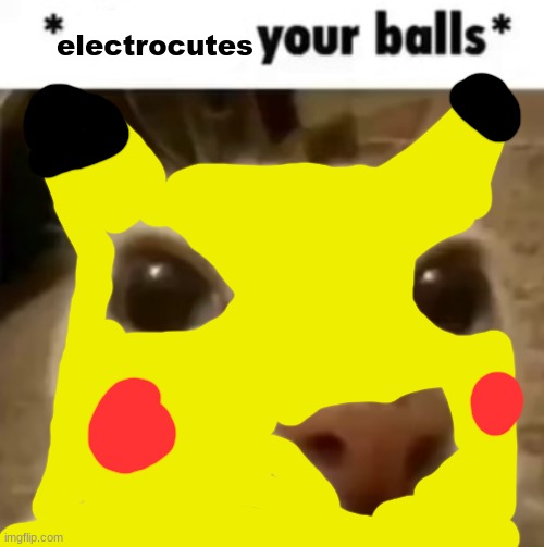 X your balls | electrocutes | image tagged in x your balls | made w/ Imgflip meme maker