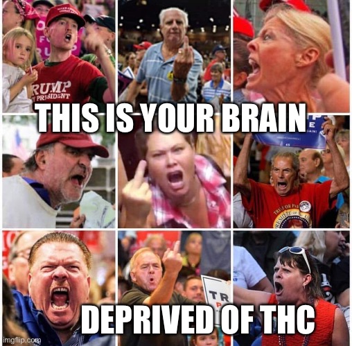Triggered Trump supporters | THIS IS YOUR BRAIN; DEPRIVED OF THC | image tagged in triggered trump supporters | made w/ Imgflip meme maker