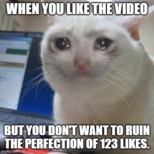 nooooooo | WHEN YOU LIKE THE VIDEO; BUT YOU DON'T WANT TO RUIN THE PERFECTION OF 123 LIKES. | image tagged in crying cat | made w/ Imgflip meme maker