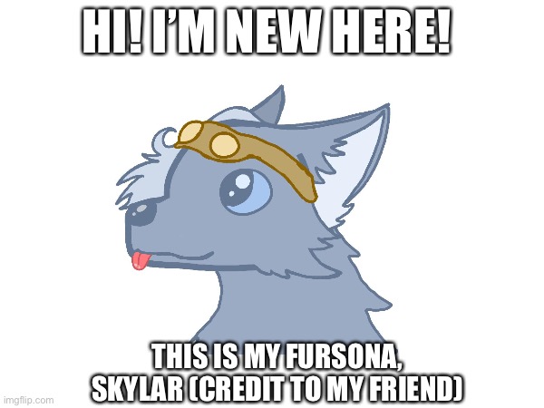 Hiya! | HI! I’M NEW HERE! THIS IS MY FURSONA, SKYLAR (CREDIT TO MY FRIEND) | made w/ Imgflip meme maker