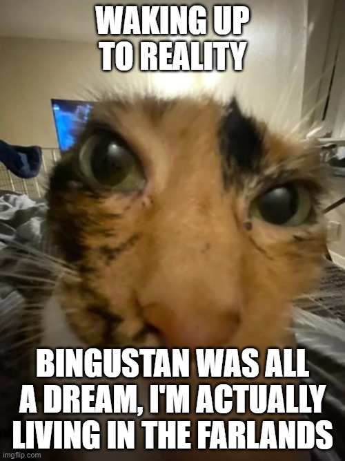 Jonquavius John Jingle Jang Joogle Gloop the 3rd | WAKING UP TO REALITY; BINGUSTAN WAS ALL A DREAM, I'M ACTUALLY LIVING IN THE FARLANDS | image tagged in jonquavius john jingle jang joogle gloop the 3rd | made w/ Imgflip meme maker