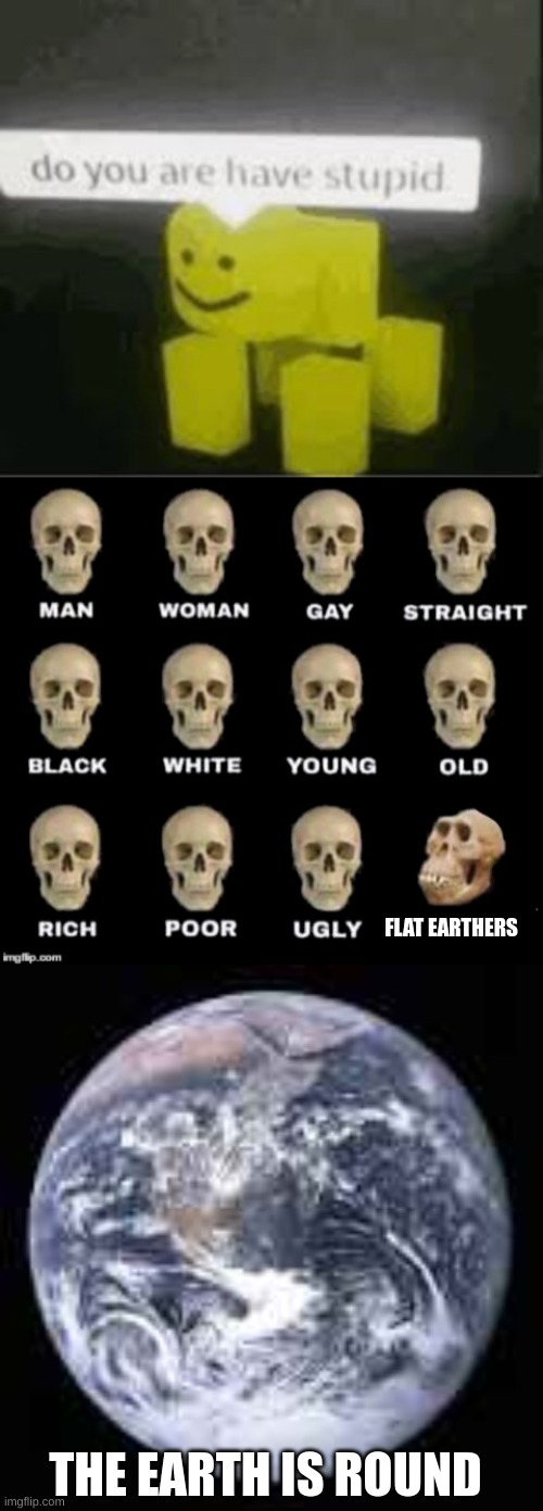 THE EARTH IS ROUND FLAT EARTHERS | image tagged in do you are have stupid,idiot skull,the earth is round | made w/ Imgflip meme maker