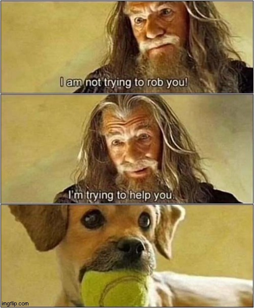 That Dog Is Not Giving Up That Ball ! | image tagged in dogs,gandalf,tennis ball,never gonna give you up | made w/ Imgflip meme maker