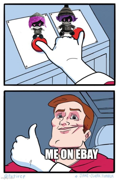 i choose both | ME ON EBAY | image tagged in pressing both buttons | made w/ Imgflip meme maker