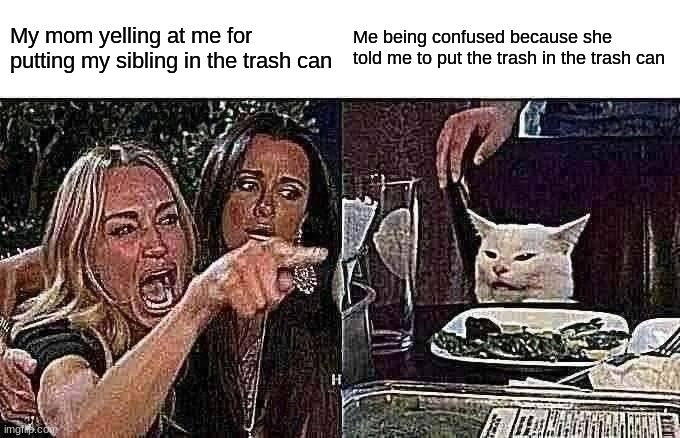 I threw away the trash, didn't I?! | My mom yelling at me for putting my sibling in the trash can; Me being confused because she told me to put the trash in the trash can | image tagged in memes,woman yelling at cat | made w/ Imgflip meme maker