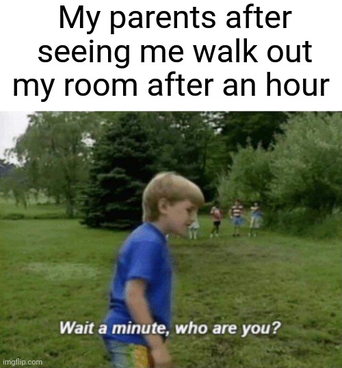 Wait a minute, who are you? | My parents after seeing me walk out my room after an hour | image tagged in wait a minute who are you | made w/ Imgflip meme maker