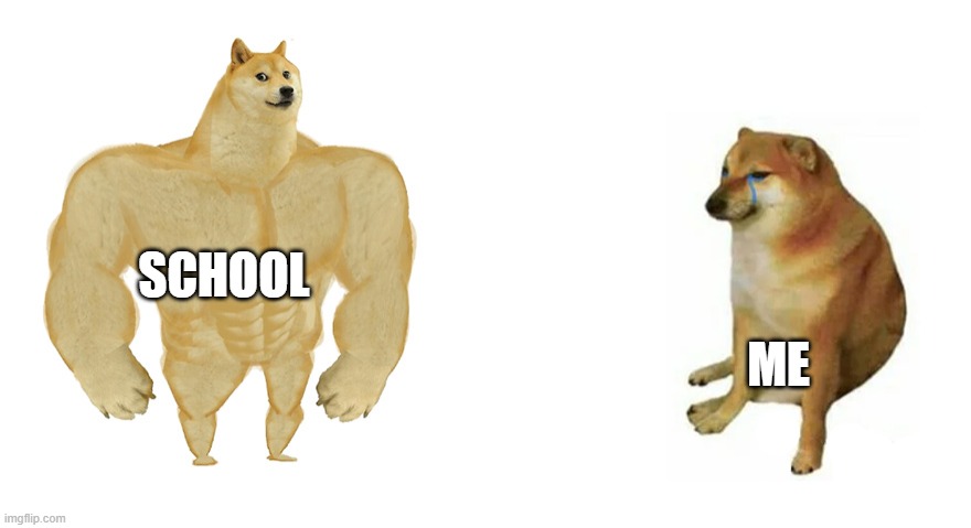 Buff Doge vs Crying Cheems | SCHOOL ME | image tagged in buff doge vs crying cheems | made w/ Imgflip meme maker