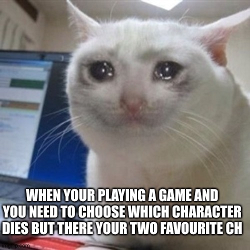 WHY MUST THEY DO THIS TO US!!!!! | WHEN YOUR PLAYING A GAME AND YOU NEED TO CHOOSE WHICH CHARACTER DIES BUT THERE YOUR TWO FAVOURITE CHARACTERS | image tagged in crying cat | made w/ Imgflip meme maker