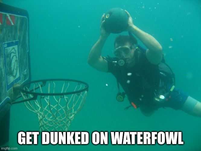 GET DUNKED ON WATERFOWL | made w/ Imgflip meme maker