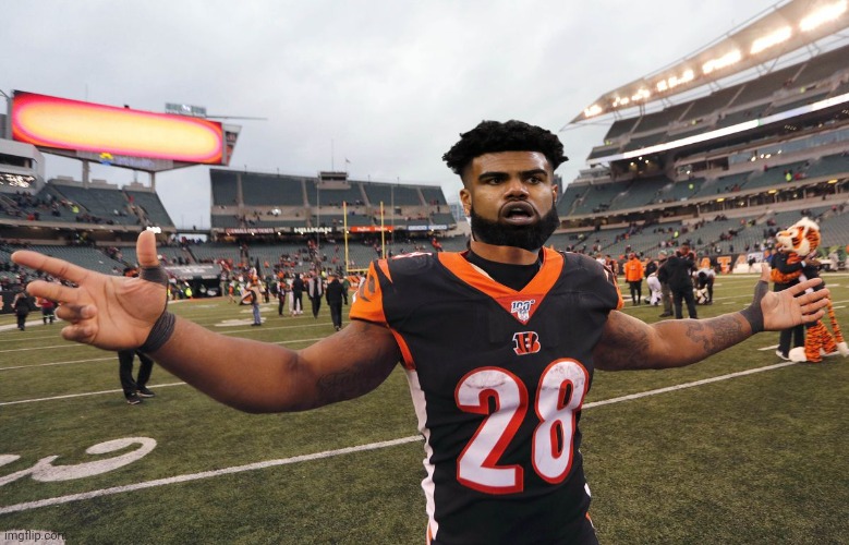 Bengals | image tagged in sports | made w/ Imgflip meme maker
