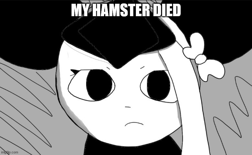 omori sylc | MY HAMSTER DIED | image tagged in omori sylc | made w/ Imgflip meme maker