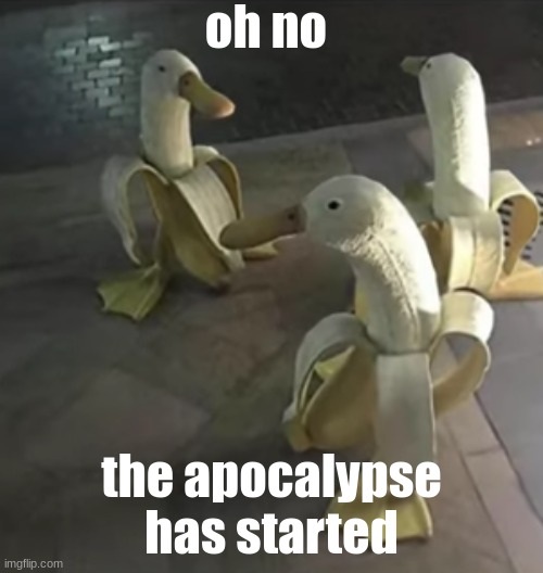 banana duck | oh no; the apocalypse has started | image tagged in banana,duck | made w/ Imgflip meme maker