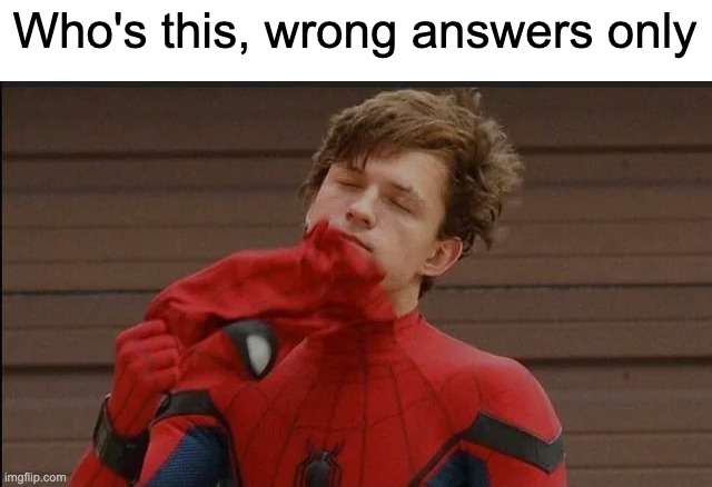 Who's this, wrong answers only | image tagged in marvel,memes,funny | made w/ Imgflip meme maker