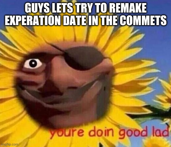 LETS DOOOO IT! | GUYS LETS TRY TO REMAKE EXPERATION DATE IN THE COMMETS | image tagged in demo sunflower,expreation date tf2,tf2 | made w/ Imgflip meme maker