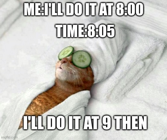 Relaxicat | TIME:8:05; ME:I'LL DO IT AT 8:00; I'LL DO IT AT 9 THEN | image tagged in relaxicat | made w/ Imgflip meme maker