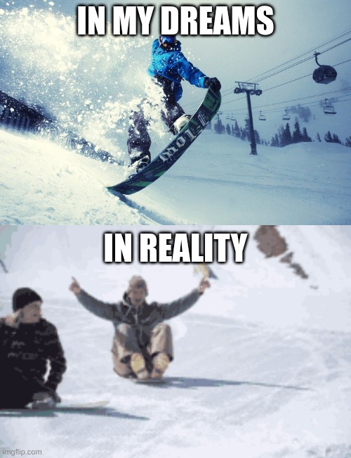 IN MY DREAMS; IN REALITY | image tagged in snowboard | made w/ Imgflip meme maker