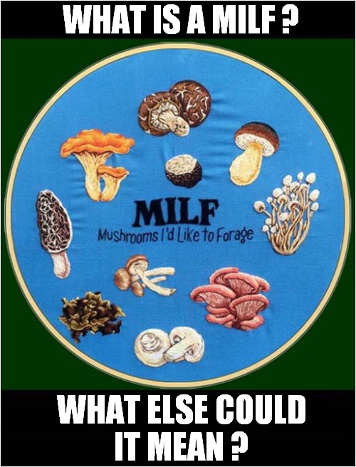 Definition Of A Milf ! | WHAT IS A MILF ? WHAT ELSE COULD
IT MEAN ? | image tagged in milf,mushrooms,dark humour | made w/ Imgflip meme maker
