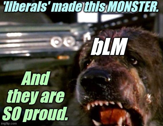 'liberals' say "words are violence", then they IGNORE actual VIOLENCE. | 'liberals' made this MONSTER. bLM; And they are SO proud. | image tagged in liberals,democrats,lgbtq,blm,antifa,criminals | made w/ Imgflip meme maker