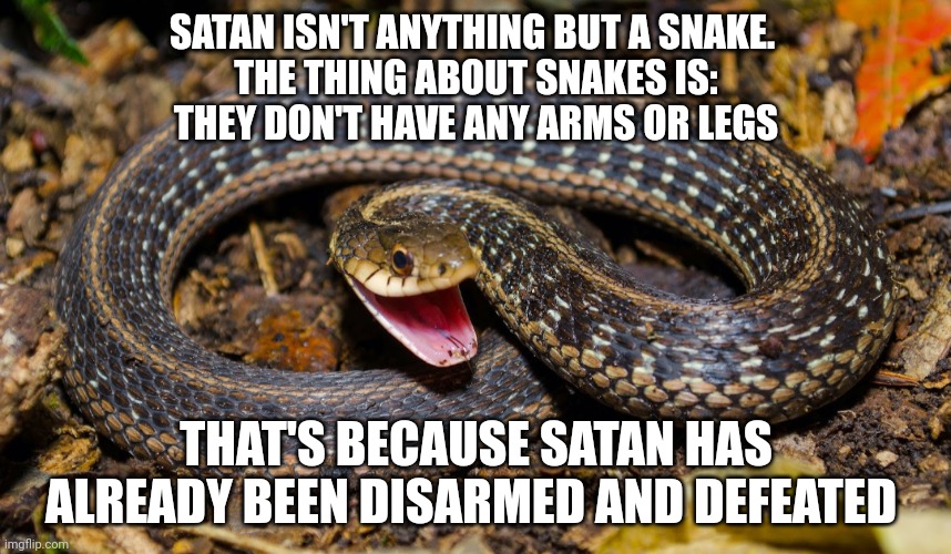 Nothing But A Snake | SATAN ISN'T ANYTHING BUT A SNAKE. 
THE THING ABOUT SNAKES IS:
THEY DON'T HAVE ANY ARMS OR LEGS; THAT'S BECAUSE SATAN HAS ALREADY BEEN DISARMED AND DEFEATED | image tagged in christian memes | made w/ Imgflip meme maker
