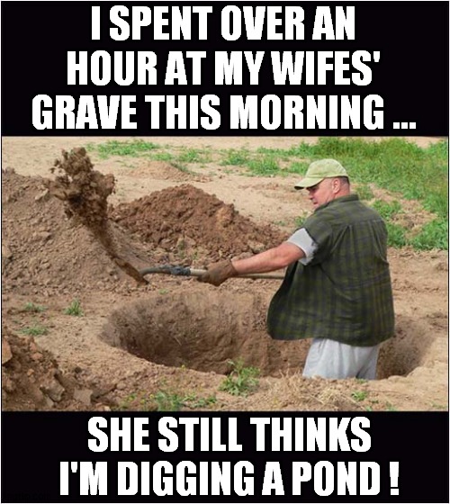 It's Good To Have A Plan ! | I SPENT OVER AN HOUR AT MY WIFES' GRAVE THIS MORNING ... SHE STILL THINKS I'M DIGGING A POND ! | image tagged in wife,grave,digging,dark humour | made w/ Imgflip meme maker