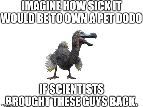Based on Neronga's thought | IMAGINE HOW SICK IT WOULD BE TO OWN A PET DODO; IF SCIENTISTS BROUGHT THESE GUYS BACK. | made w/ Imgflip meme maker
