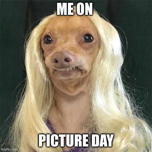 ME ON; PICTURE DAY | image tagged in funny picture | made w/ Imgflip meme maker