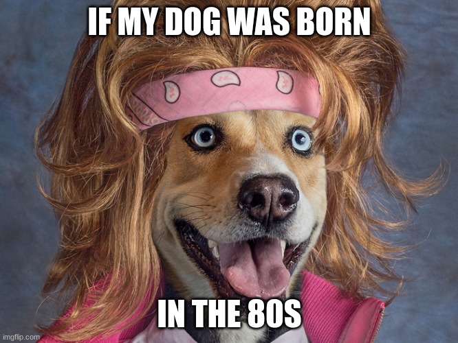 IF MY DOG WAS BORN; IN THE 80S | image tagged in 80s | made w/ Imgflip meme maker