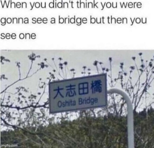 image tagged in memes,funny | made w/ Imgflip meme maker