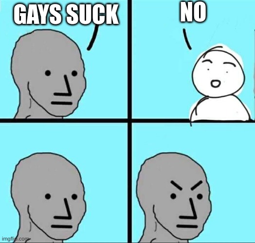 NPC Meme | NO; GAYS SUCK | image tagged in npc meme | made w/ Imgflip meme maker