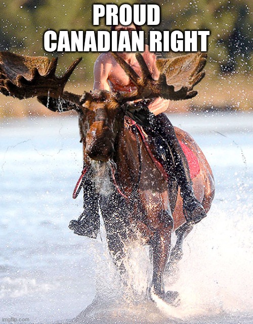 ask me anything canadian | PROUD CANADIAN RIGHT | image tagged in canada eh | made w/ Imgflip meme maker