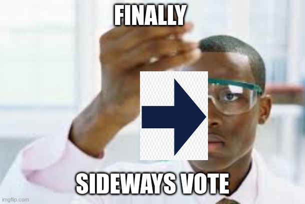 FINALLY | FINALLY; SIDEWAYS VOTE | image tagged in finally | made w/ Imgflip meme maker