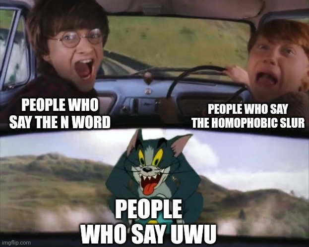 Tom chasing Harry and Ron Weasly | PEOPLE WHO SAY THE N WORD PEOPLE WHO SAY THE HOMOPHOBIC SLUR PEOPLE WHO SAY UWU | image tagged in tom chasing harry and ron weasly | made w/ Imgflip meme maker