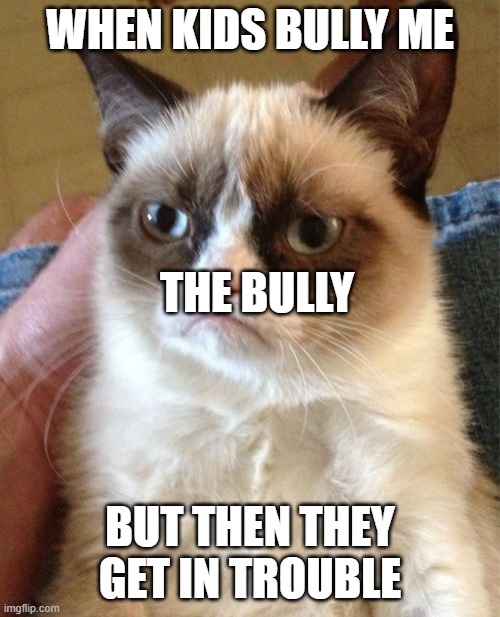 Grumpy Cat | WHEN KIDS BULLY ME; THE BULLY; BUT THEN THEY GET IN TROUBLE | image tagged in memes,grumpy cat | made w/ Imgflip meme maker
