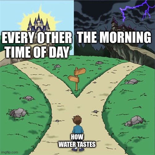 Water... life or death? | THE MORNING; EVERY OTHER TIME OF DAY; HOW WATER TASTES | image tagged in two paths | made w/ Imgflip meme maker
