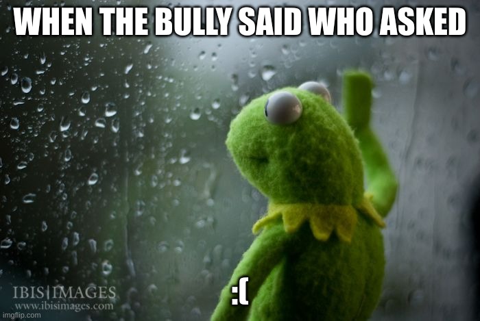 kermit window | WHEN THE BULLY SAID WHO ASKED; :( | image tagged in kermit window | made w/ Imgflip meme maker