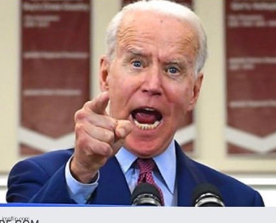 Joe Biden no malarkey | image tagged in joe biden no malarkey | made w/ Imgflip meme maker