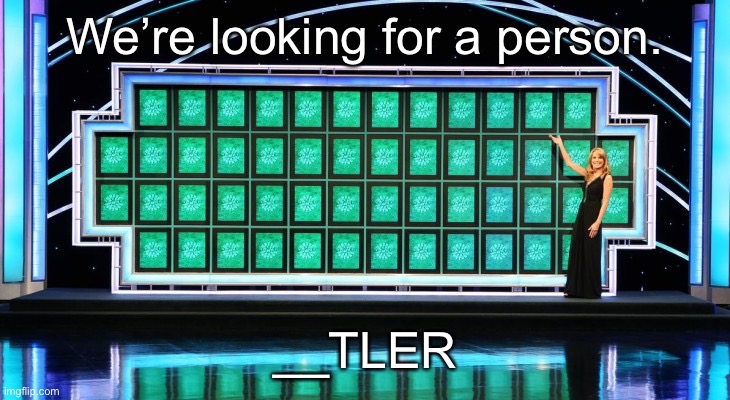wheel of fortune | We’re looking for a person. __TLER | image tagged in wheel of fortune | made w/ Imgflip meme maker