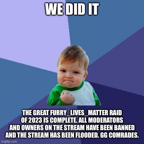 WE DID IT! | WE DID IT; THE GREAT FURRY_LIVES_MATTER RAID OF 2023 IS COMPLETE. ALL MODERATORS AND OWNERS ON THE STREAM HAVE BEEN BANNED AND THE STREAM HAS BEEN FLOODED. GG COMRADES. | image tagged in memes,success kid | made w/ Imgflip meme maker