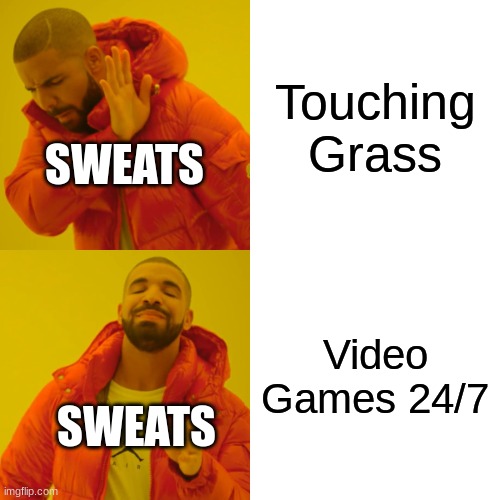 Sweats Never Touch Grass | Touching Grass; SWEATS; Video Games 24/7; SWEATS | image tagged in memes,drake hotline bling | made w/ Imgflip meme maker