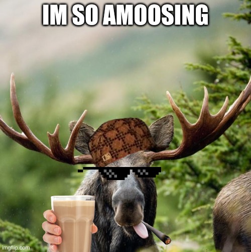 yes | IM SO AMOOSING | image tagged in moose,canada | made w/ Imgflip meme maker